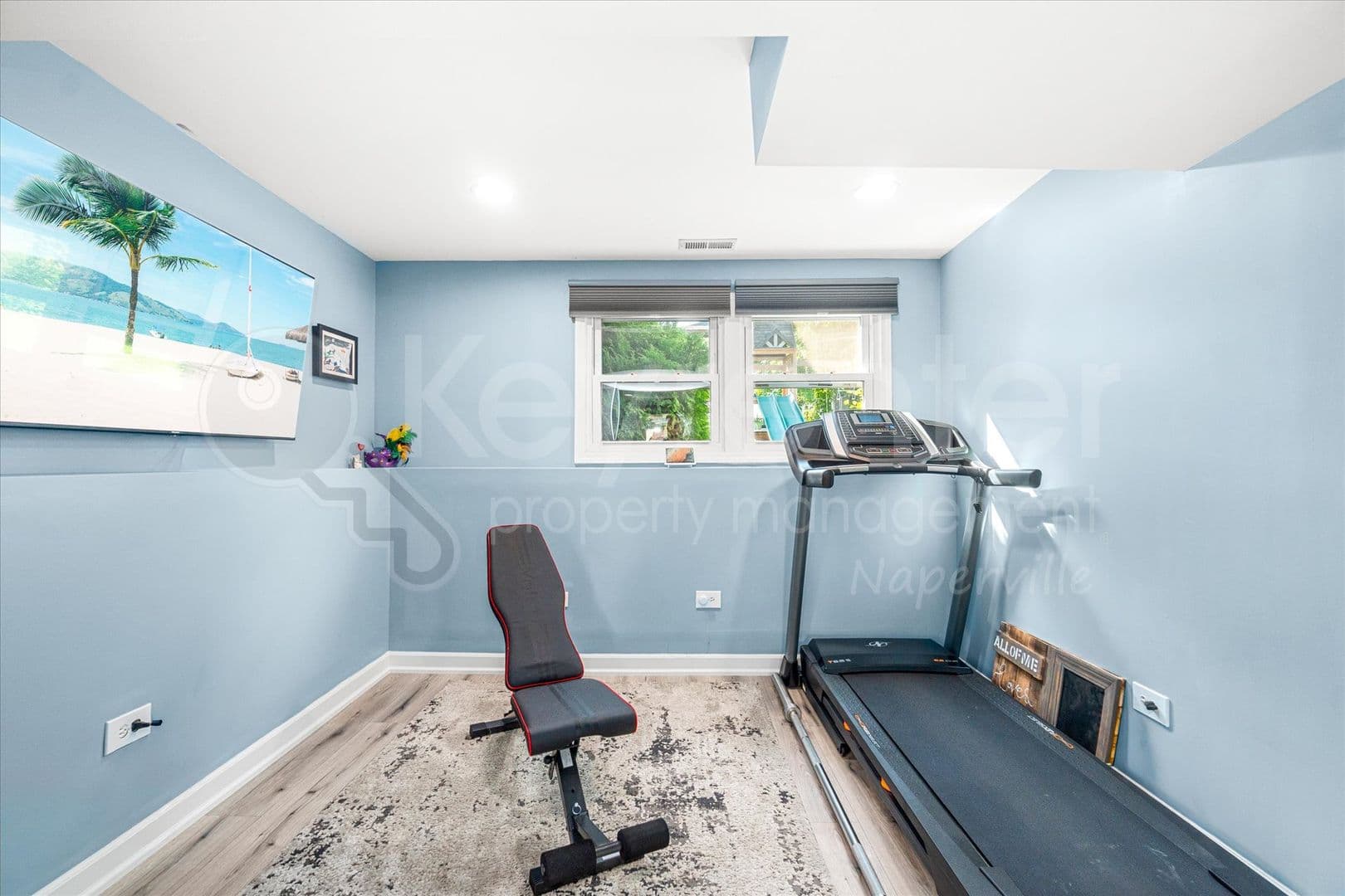 Bolingbrook House: 313 Falcon Ridge Way