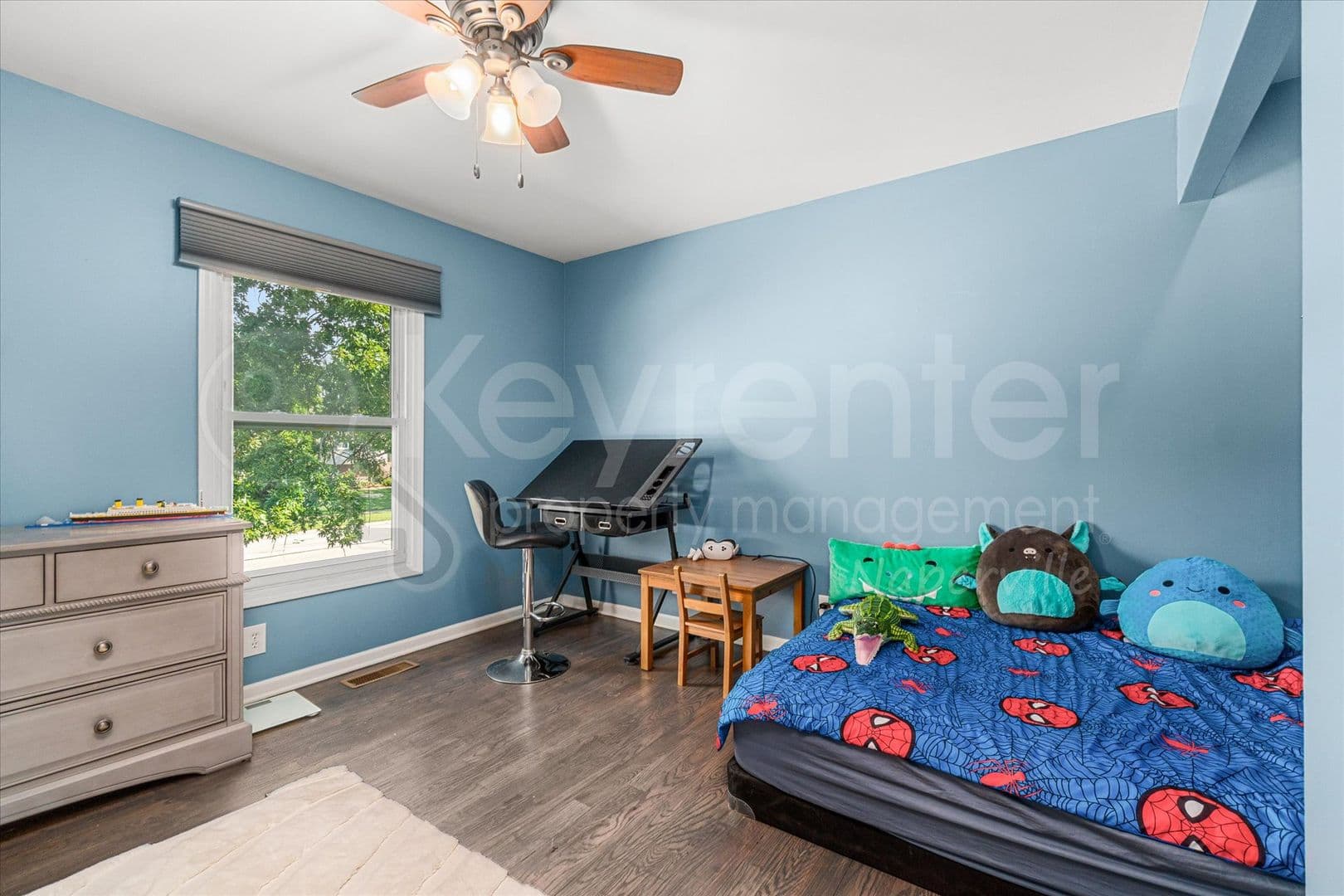 Bolingbrook House: 313 Falcon Ridge Way