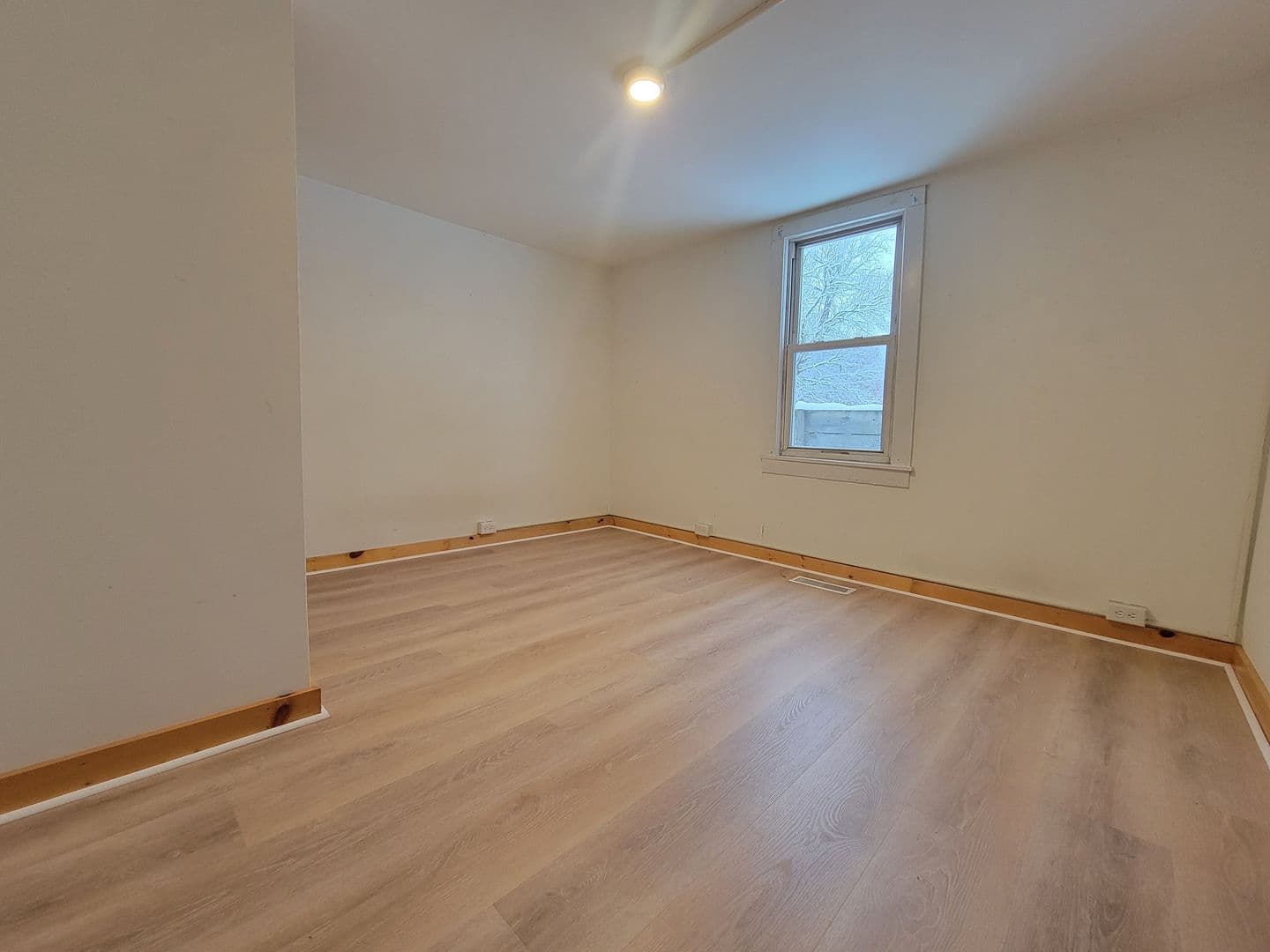 Ithaca Apartment: 510 n Albany st