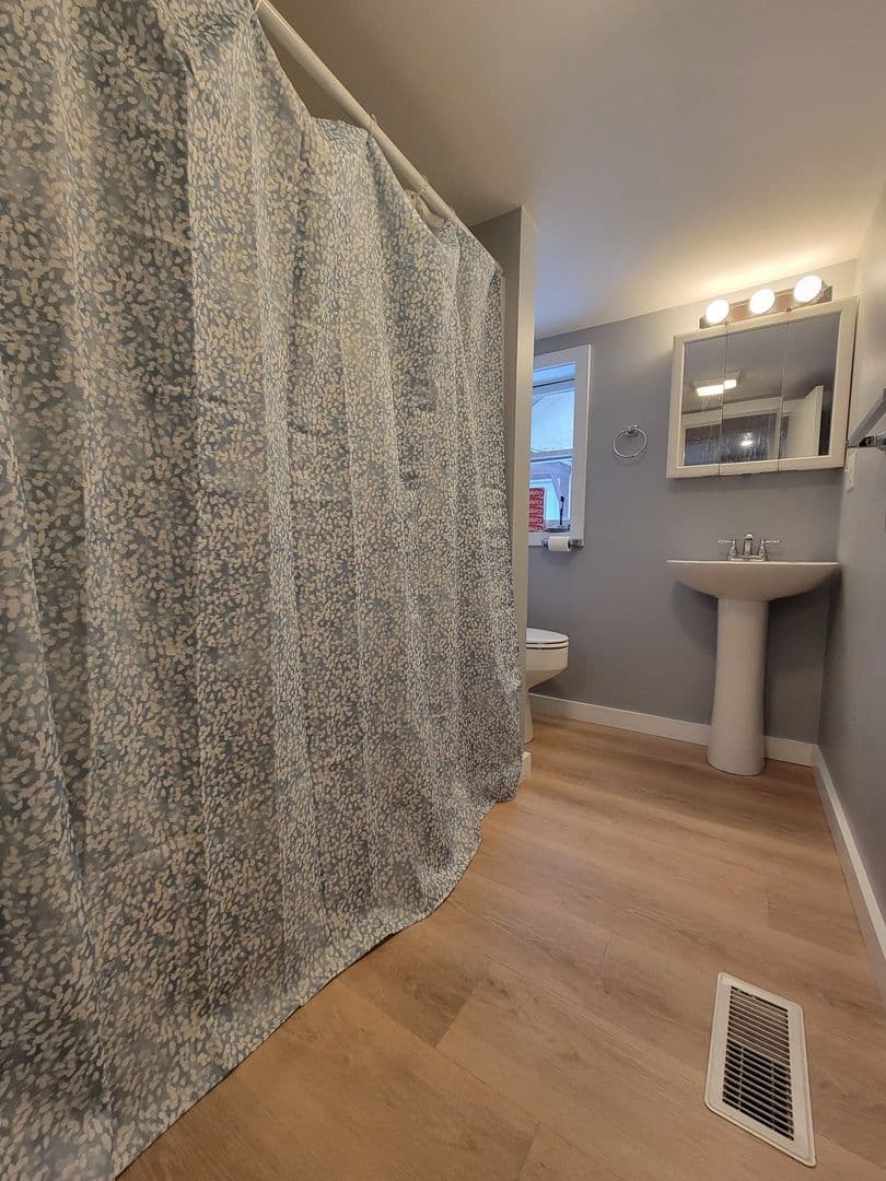 Ithaca Apartment: 510 n Albany st