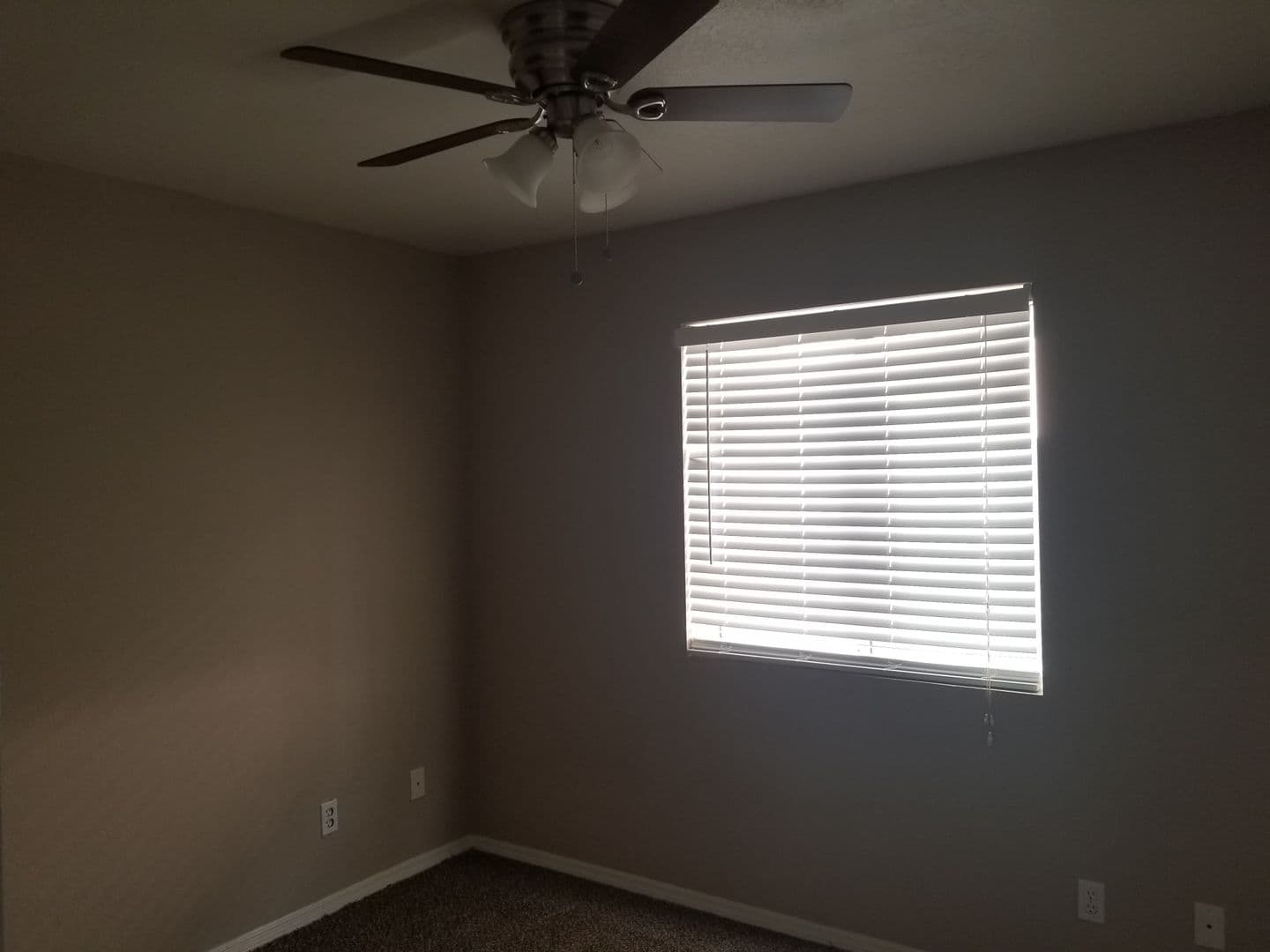Bullhead City Apartment: 1336 Ramar Rd