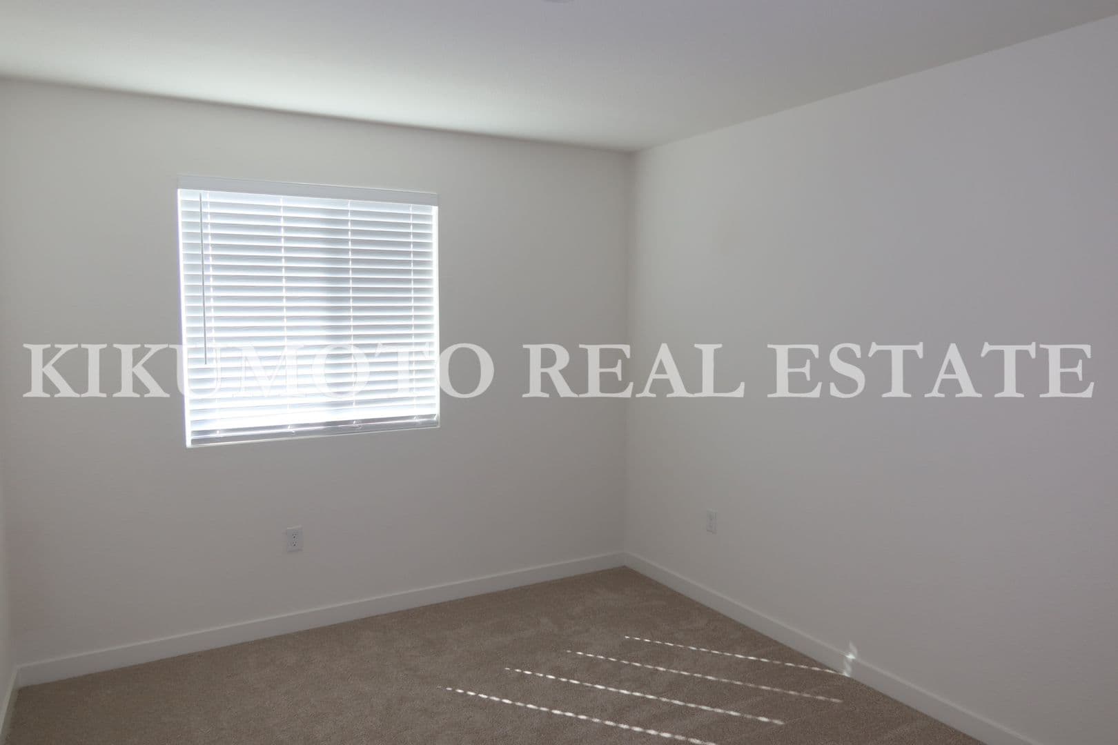 Sacramento House: 8004 Monkeyflower Way - 8004 Monkeyflower Way
