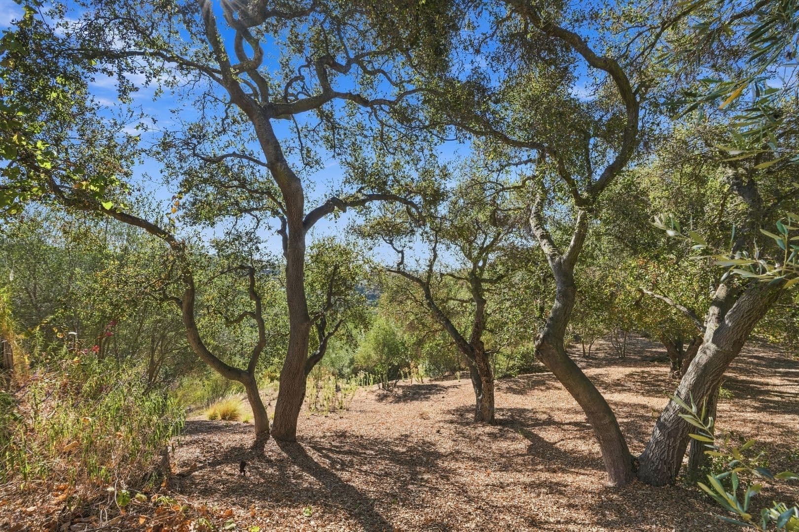 Santa Barbara House: 1480 Mission Canyon Rd