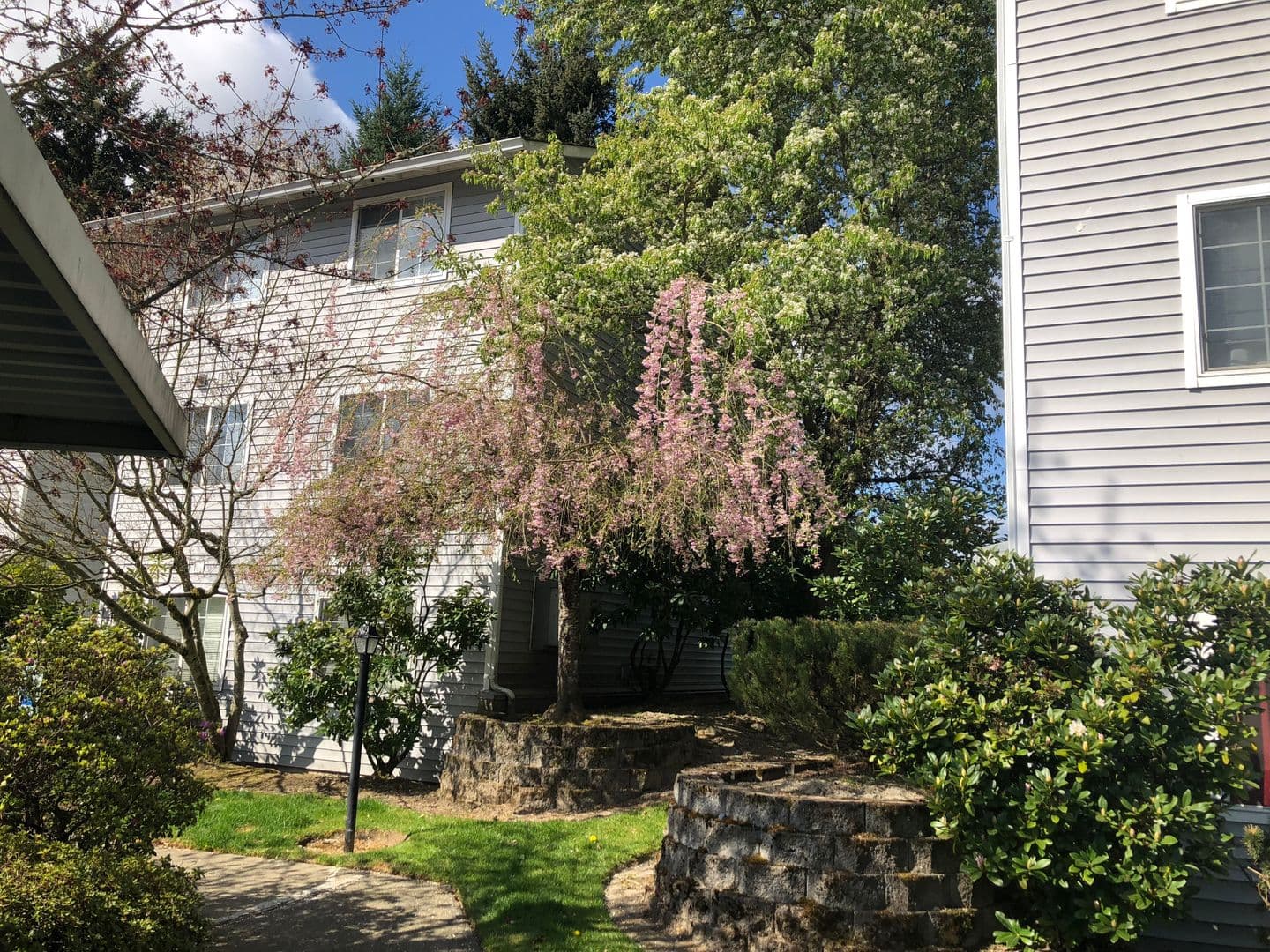 Bremerton Apartment: 4798 Parkhurst Lane NE
