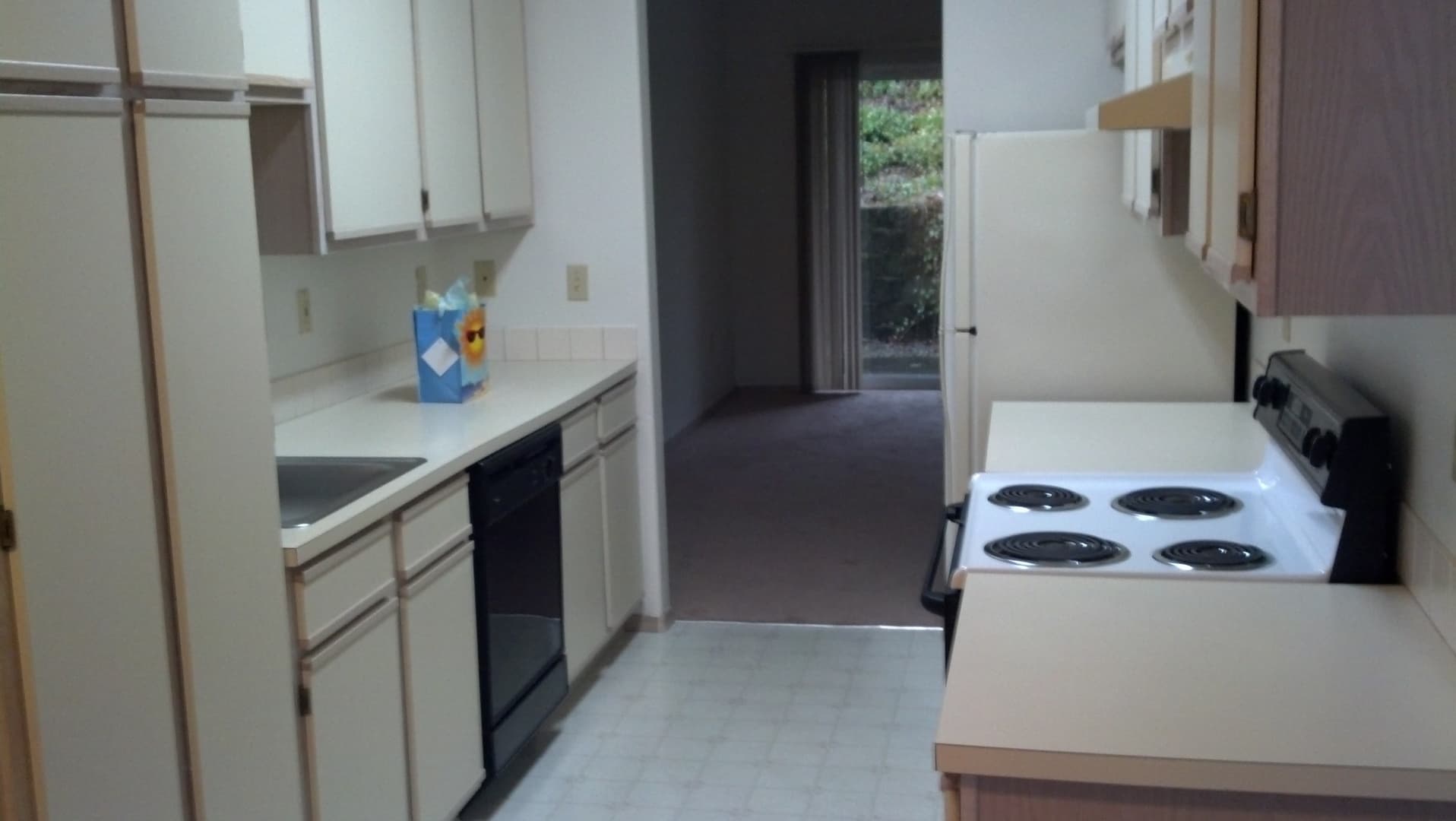 Eugene Apartment: 808 Pool Street