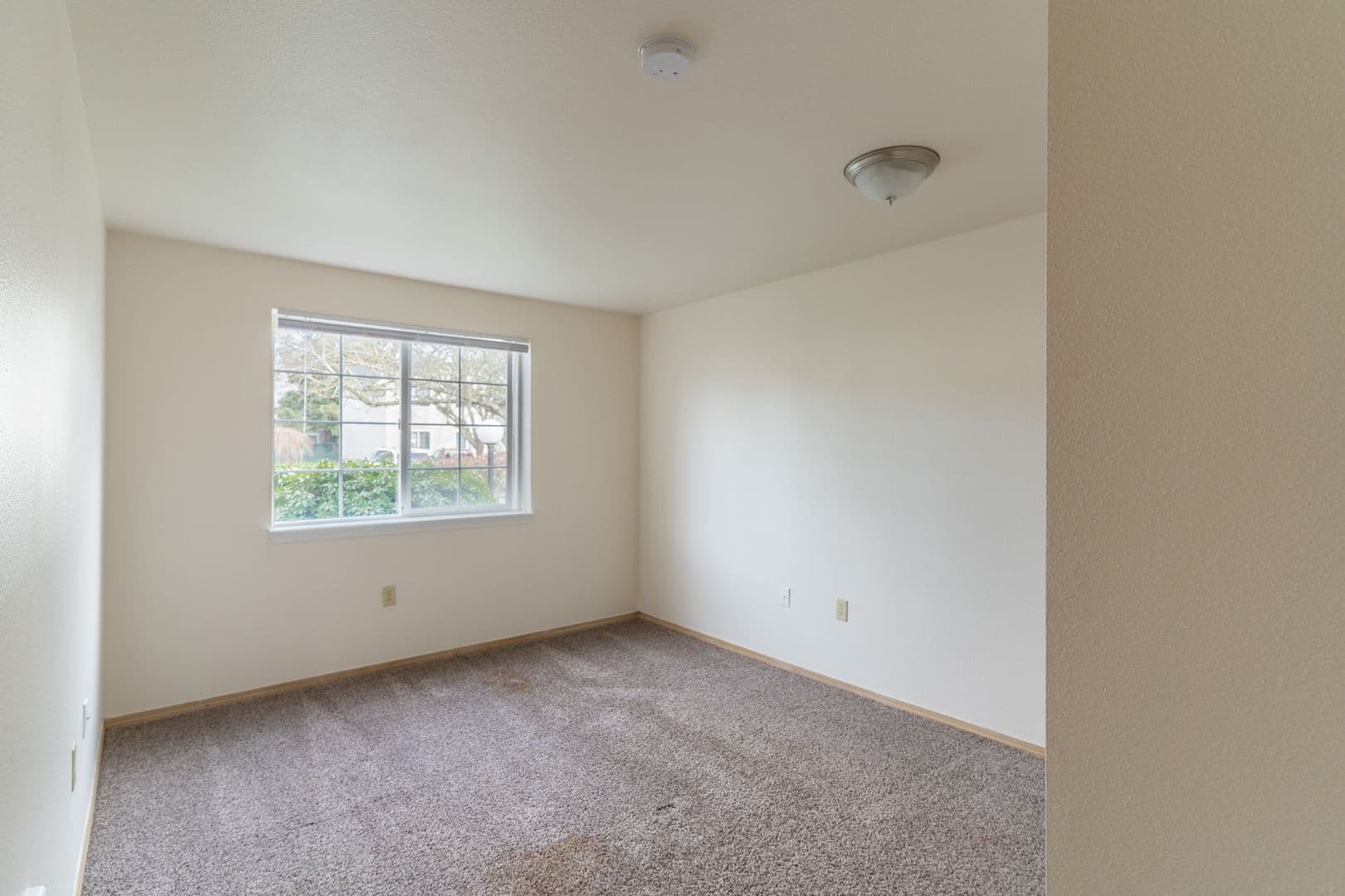 Albany Apartment: 1915 21st Avenue SE