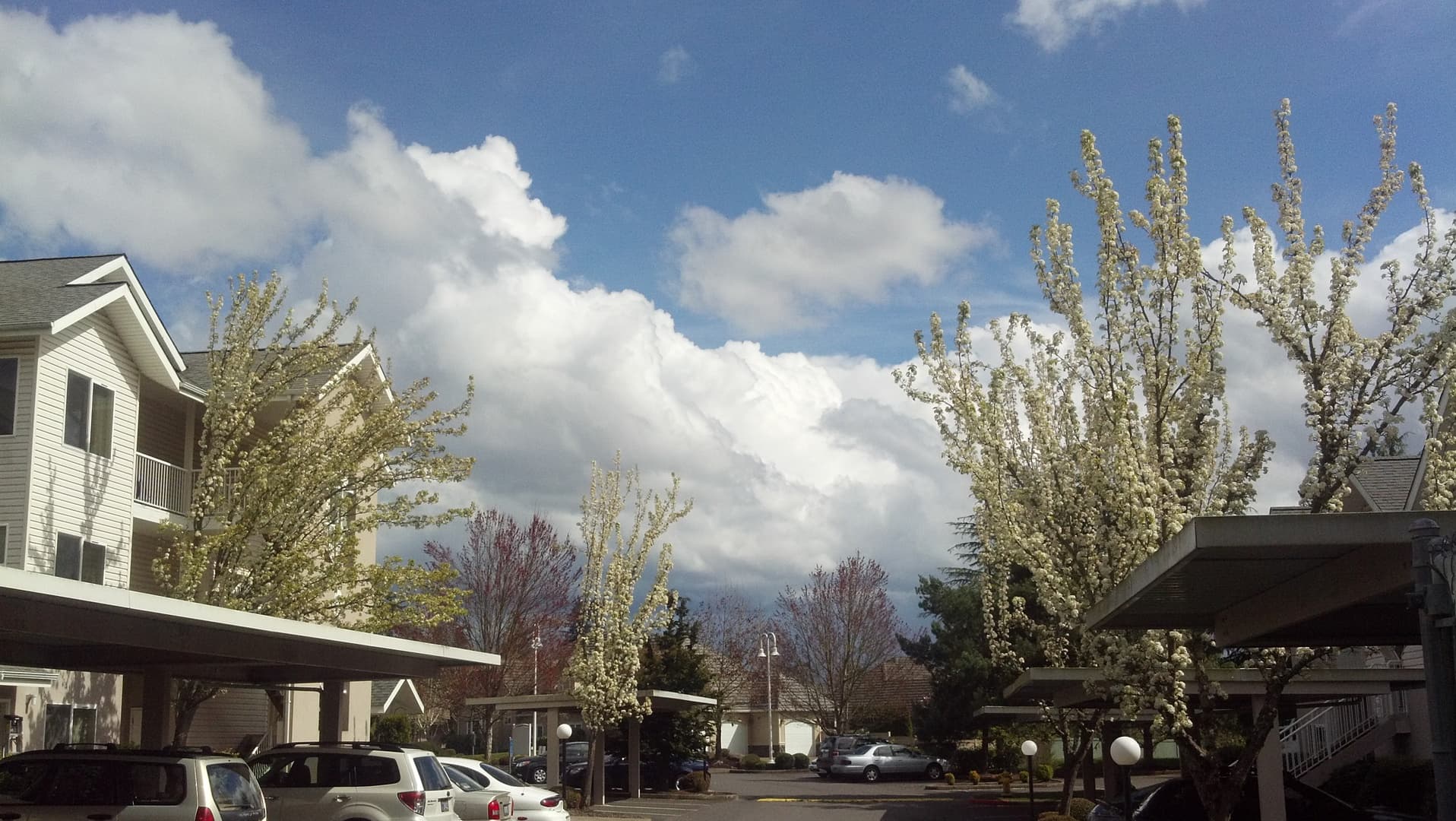 Eugene Apartment: 808 Pool Street