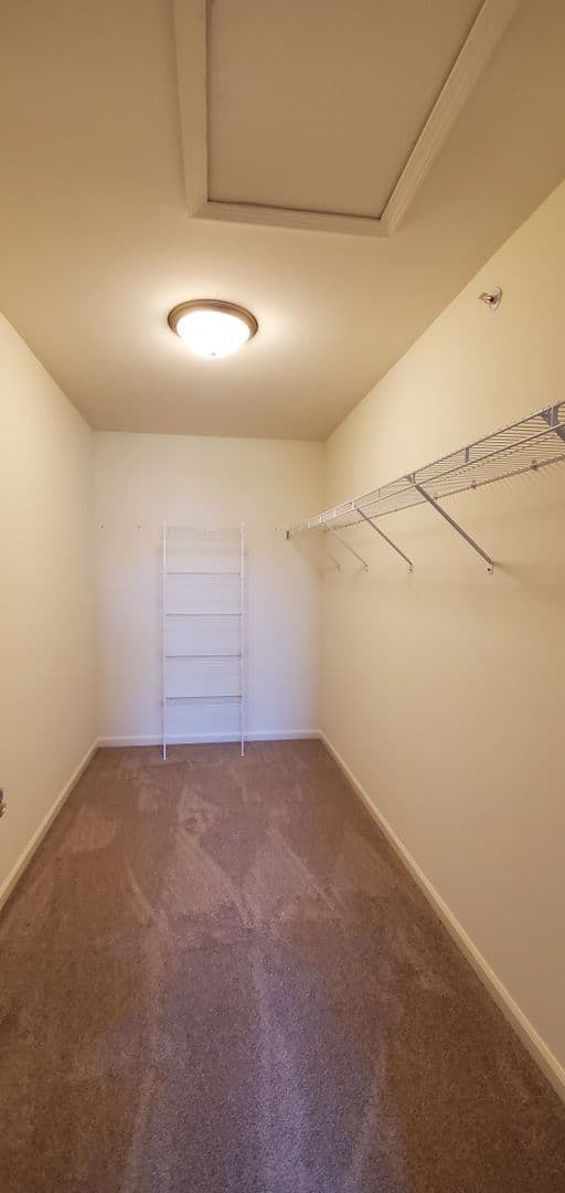 Shorewood Apartment: 467-497 Timber Pointe Dr