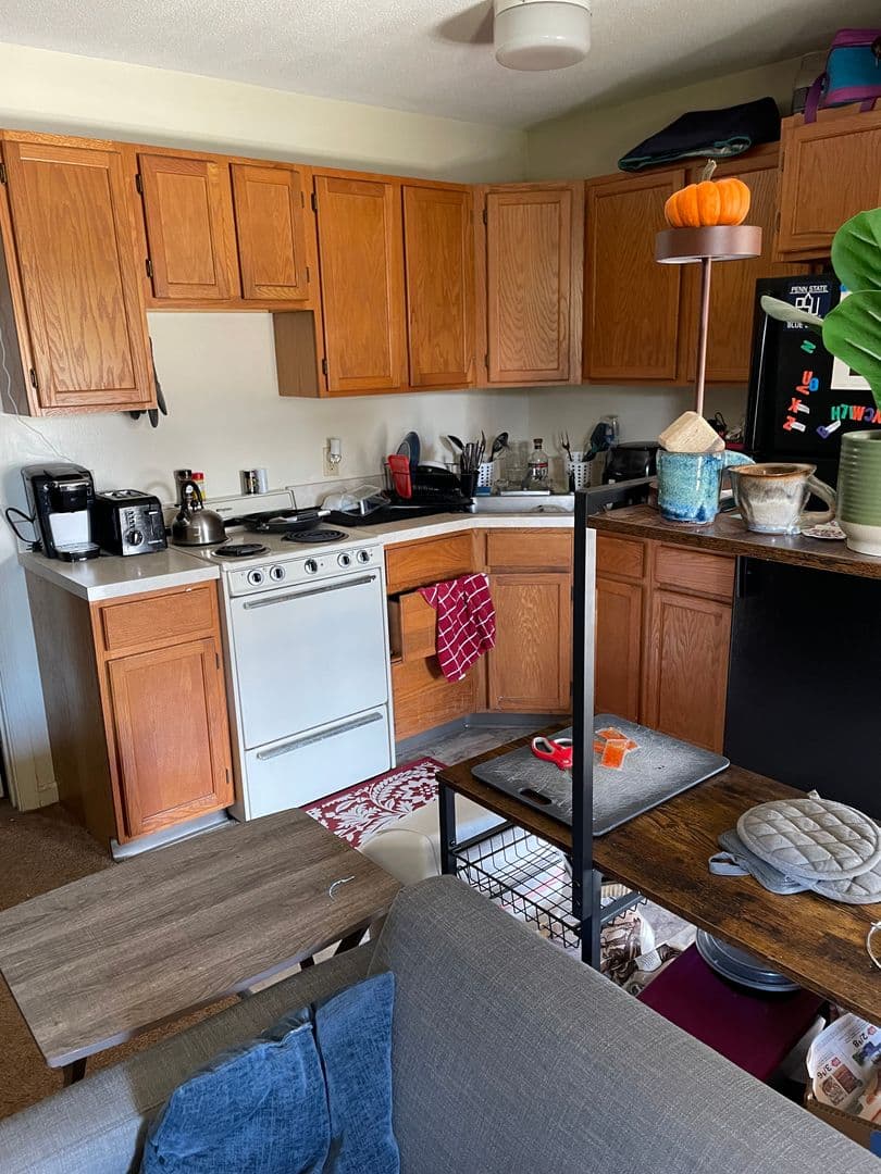 State College Apartment: 830 S Pugh St