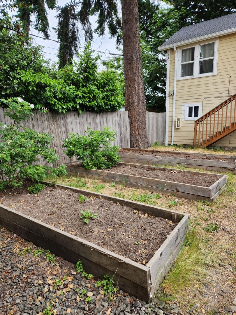 Bremerton House: 1222 Park Avenue Unit 3