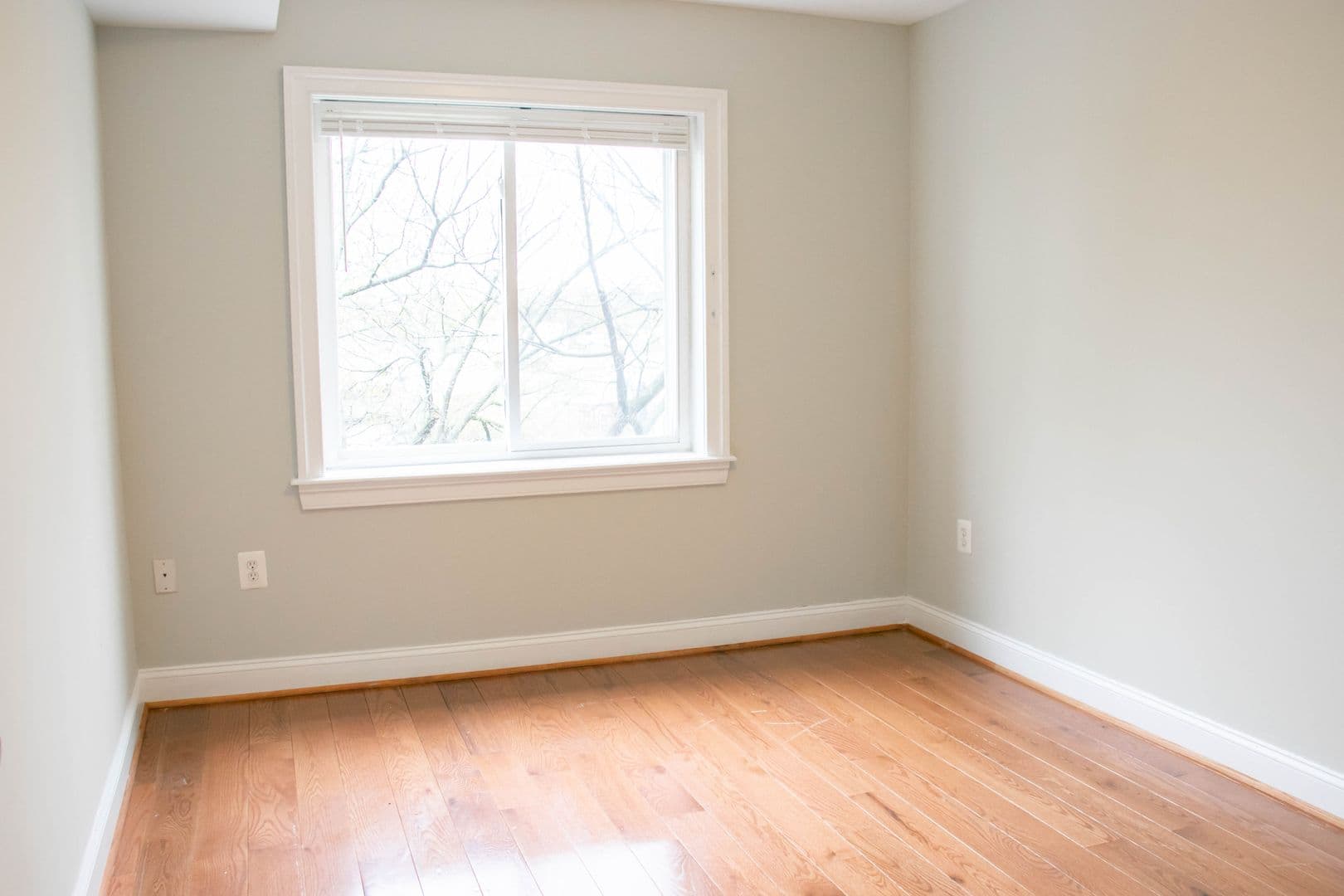 Washington Apartment: 1901-03 Lincoln Rd NE