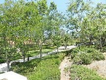 Rancho Santa Margarita Condo: 79 Gaviota
