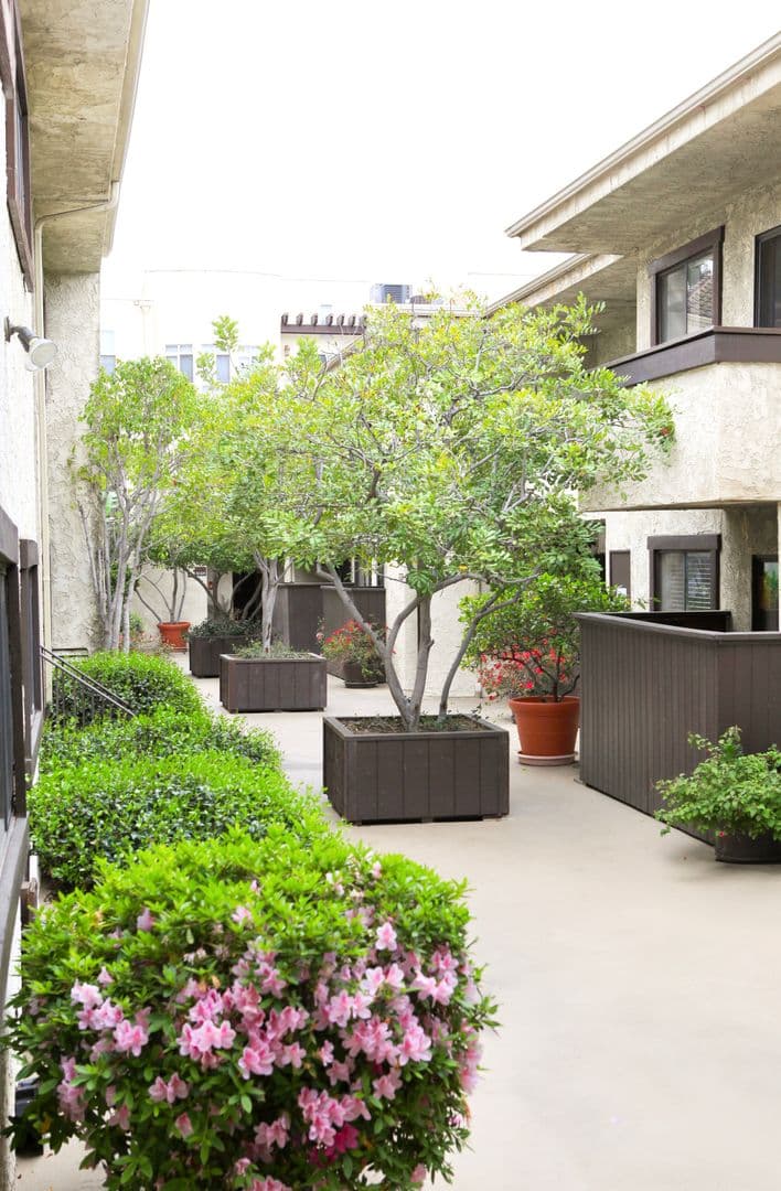 Studio City Apartment: 4627 Coldwater Canyon