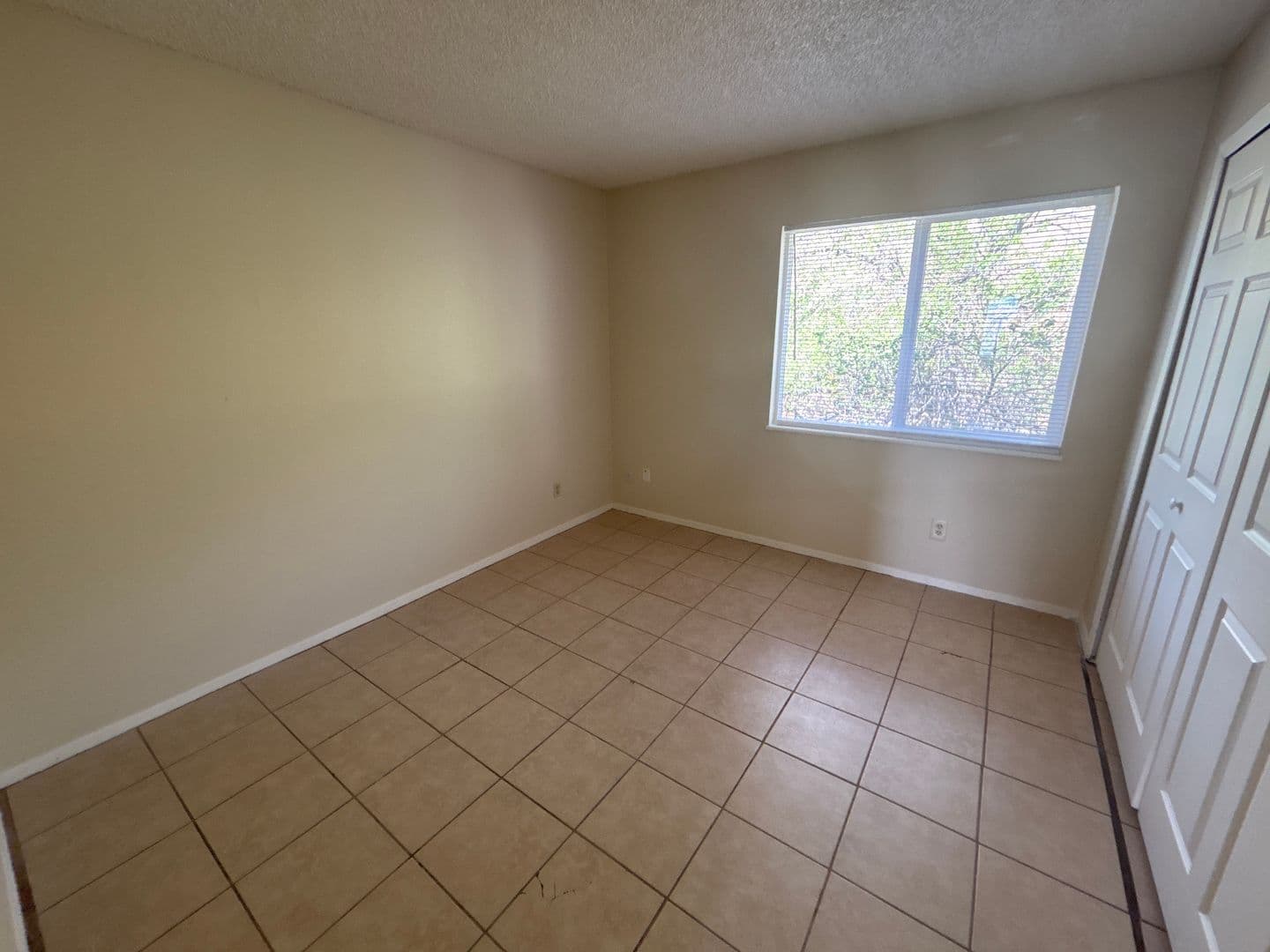 Colorado Springs Apartment: 2906 Straus Lane