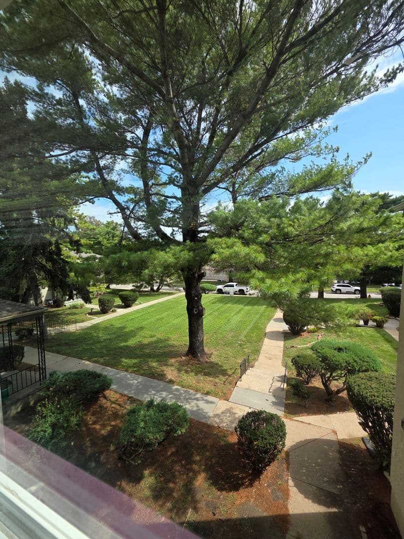 Omaha Apartment: 816 N 46th St