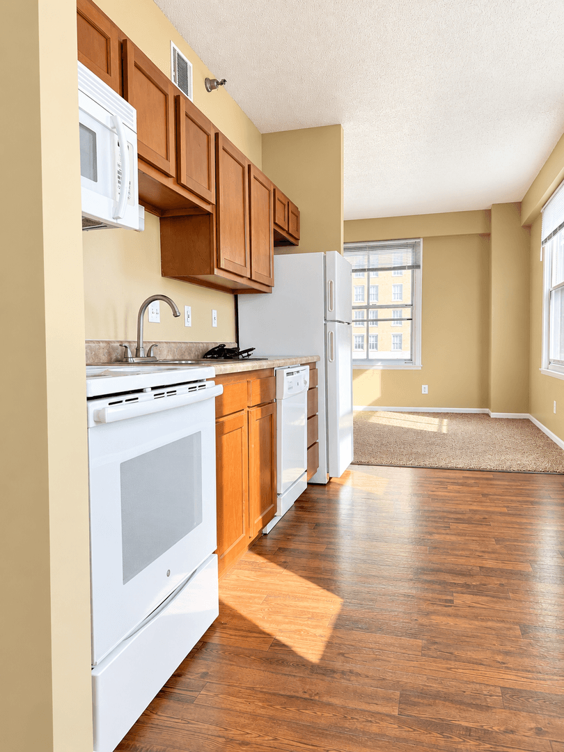 Omaha Apartment: 505 S 16th Street
