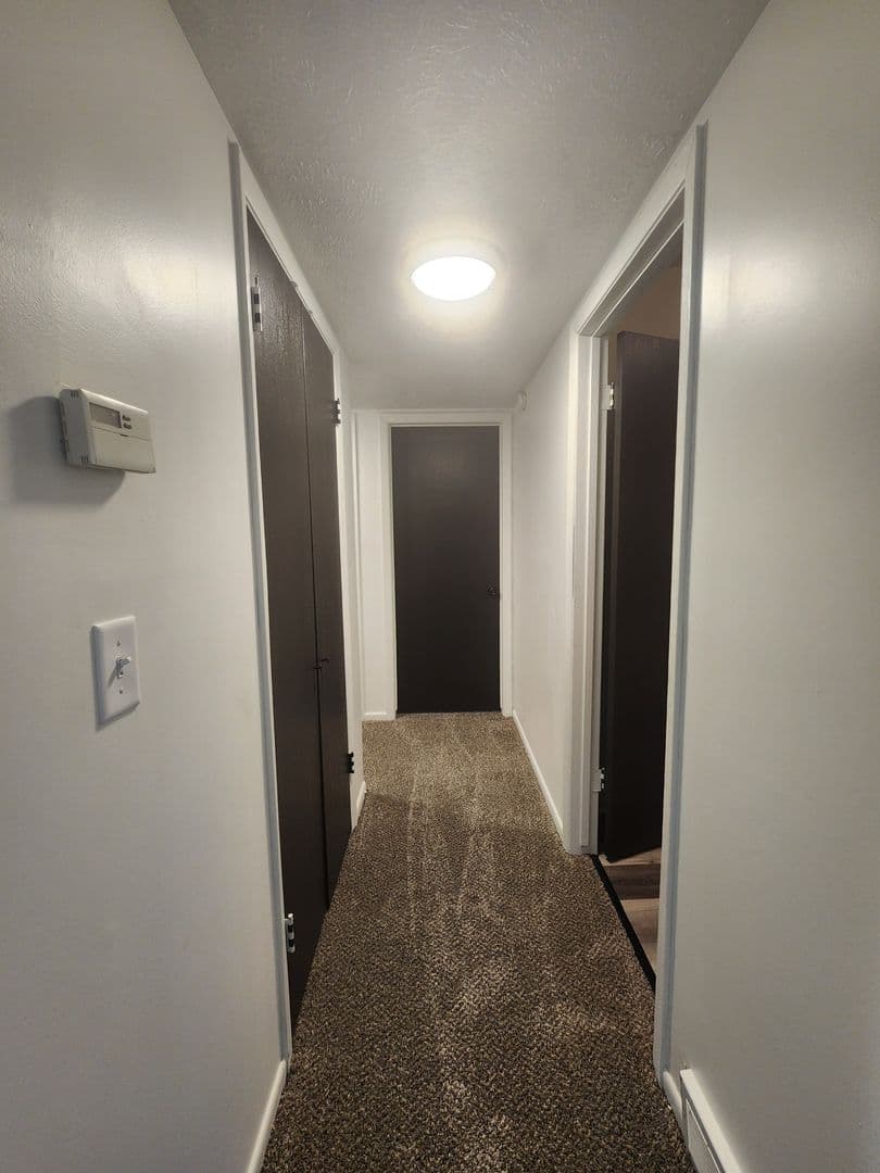 Council Bluffs Apartment: 207 Frank Street
