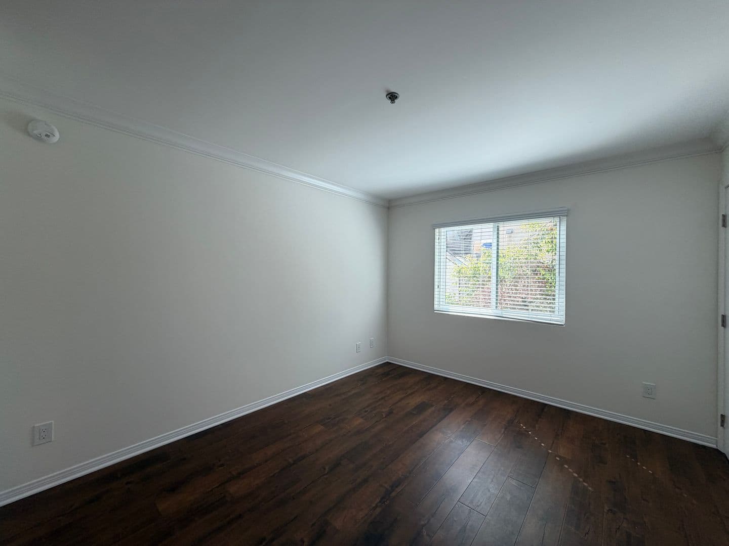 Venice Apartment: 1415 Venice Blvd