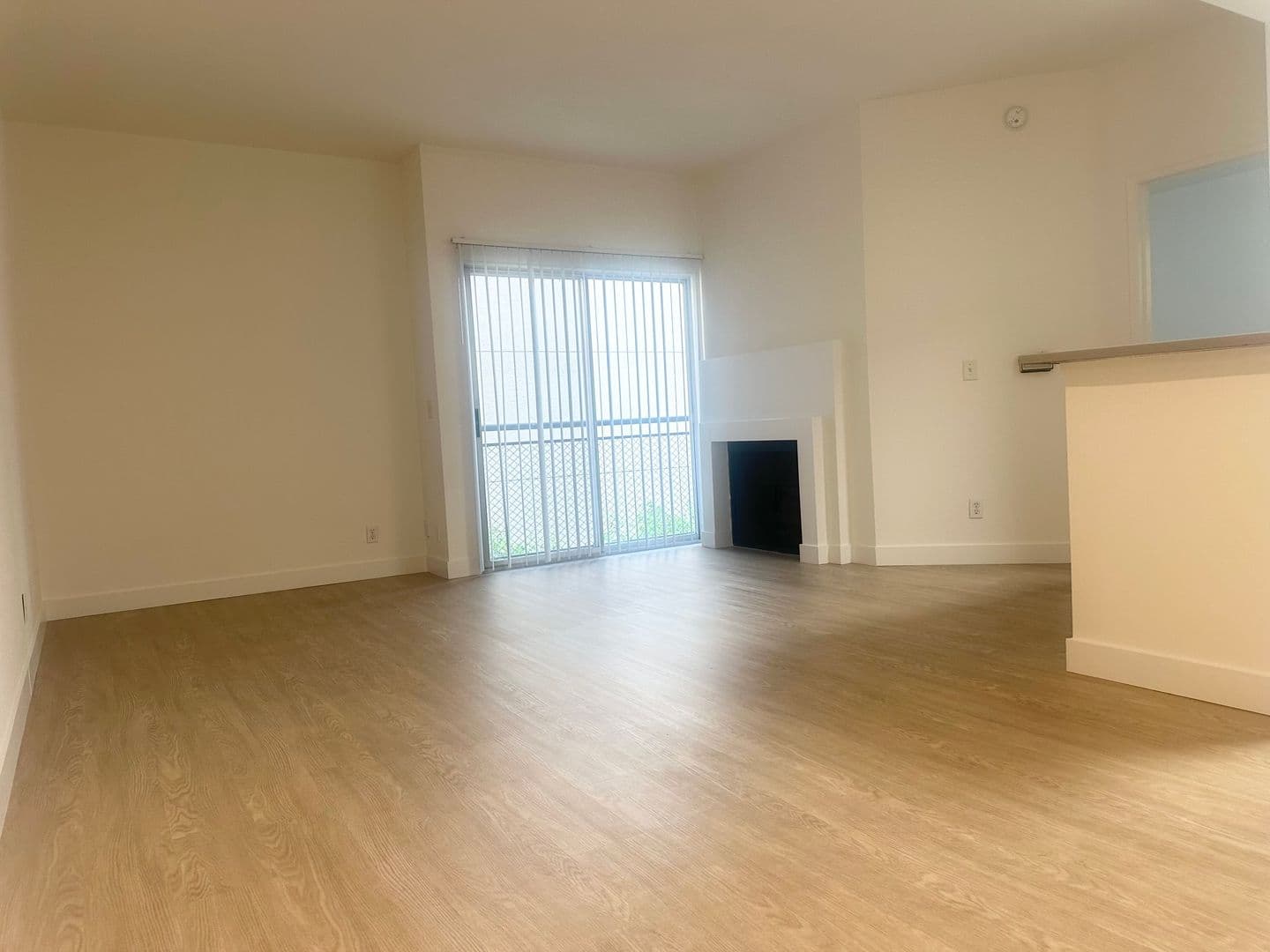 Hollywood Apartment: 1234 N Las Palmas Ave