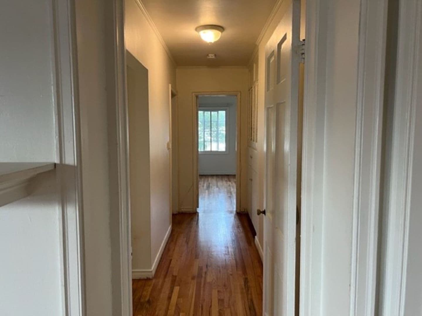 Beverly Hills Apartment: Roxbury Plaza