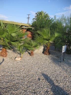 Palm Springs Apartment: 2626 N. Junipero Avenue