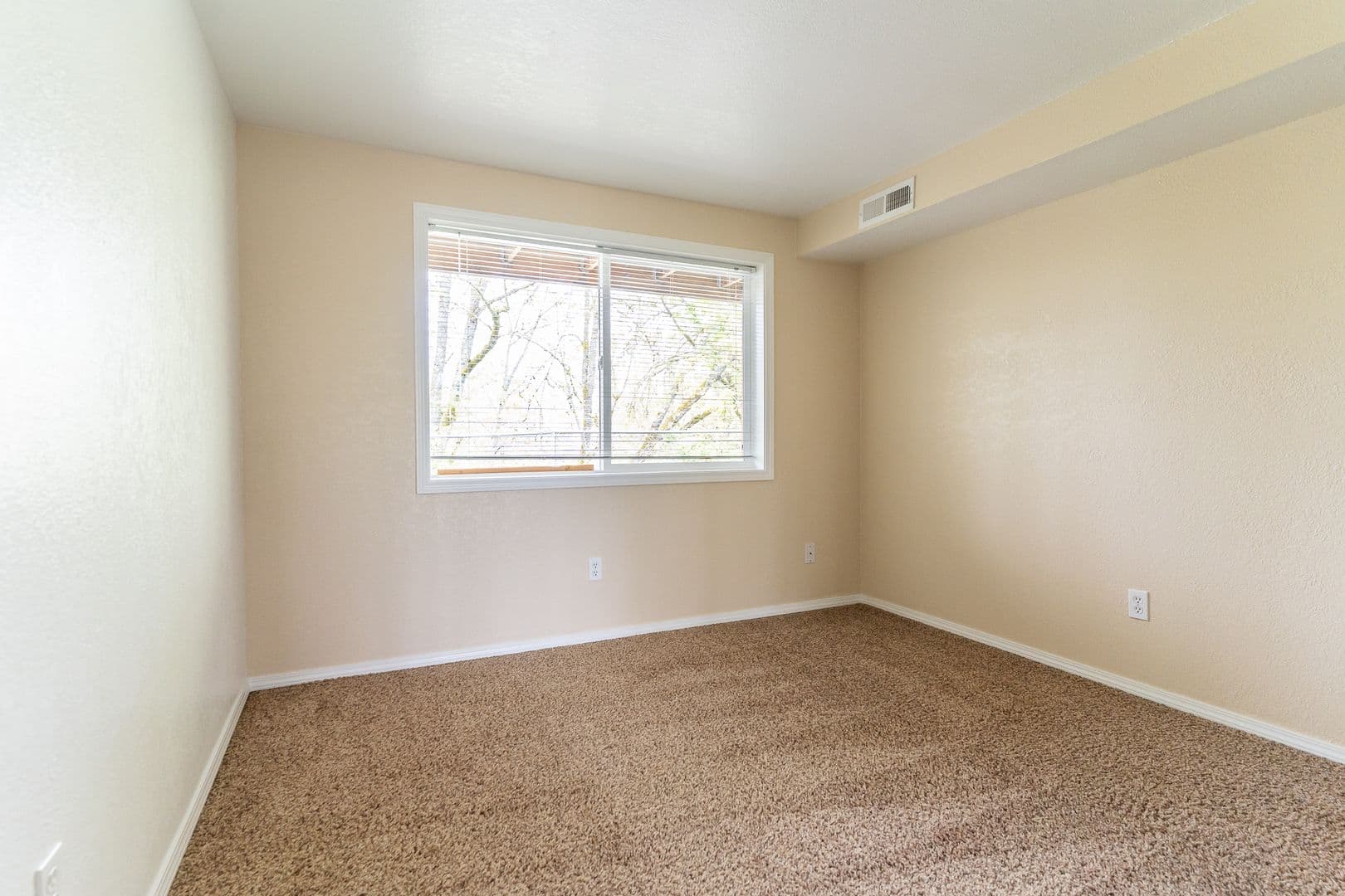 Albany Apartment: 340 Denver St. NE