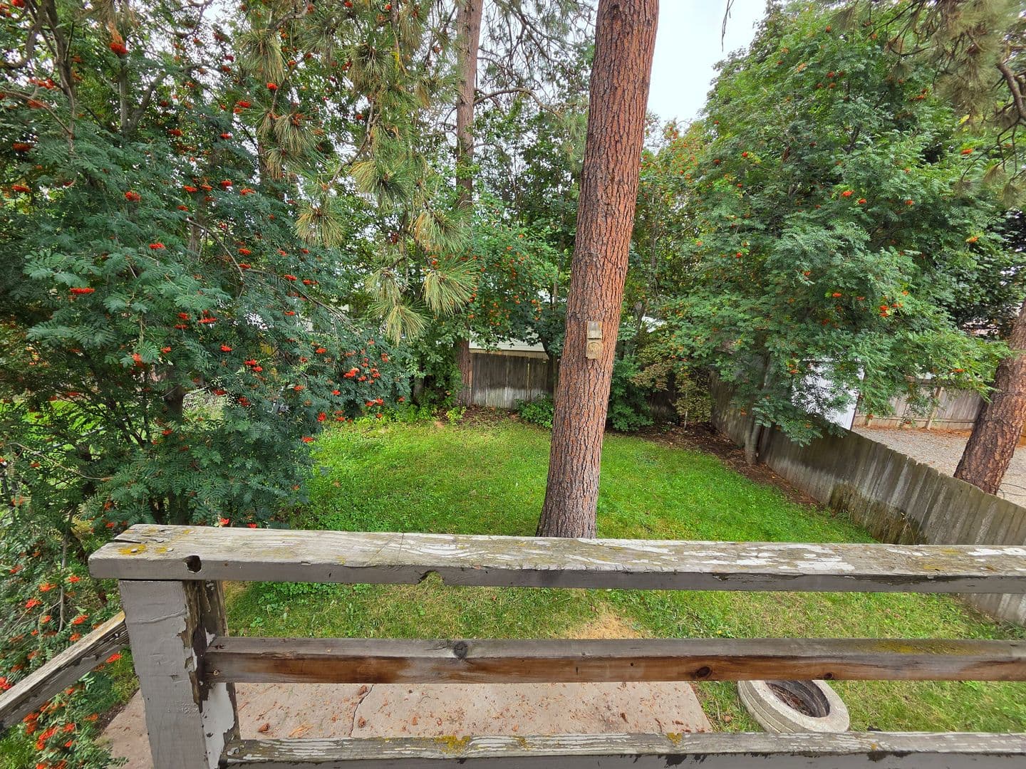 Coeur d'Alene Apartment: 2805-07 N Honeysuckle Dr