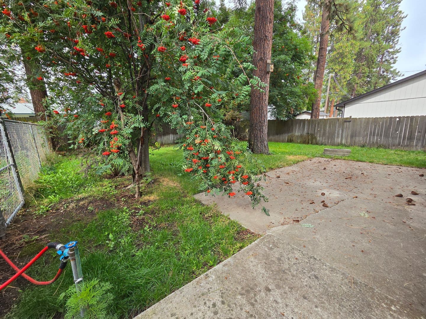 Coeur d'Alene Apartment: 2805-07 N Honeysuckle Dr
