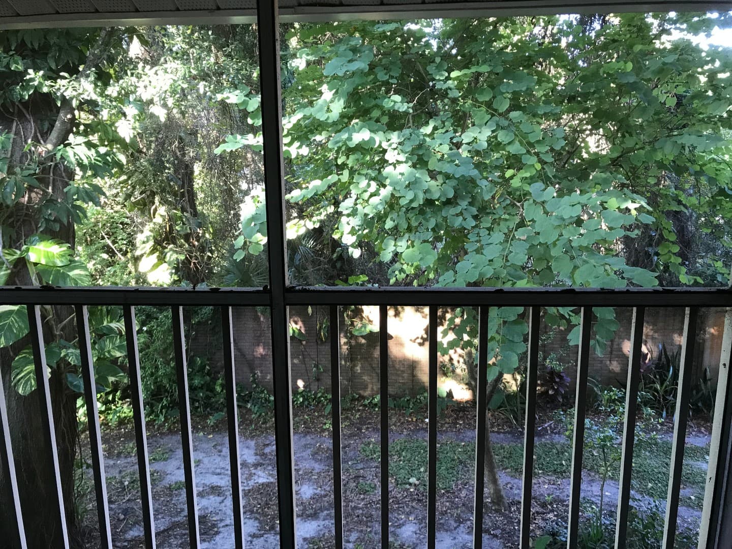 Orlando Condo: 5429 Lake Margaret Drive