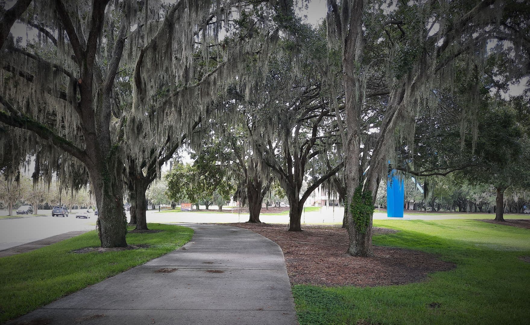 Orlando House: 1618 Asher Lane
