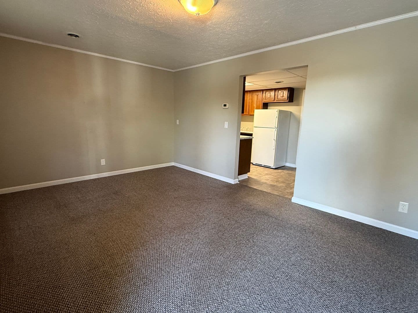 Church Hill Apartment: 116 Highland Ave