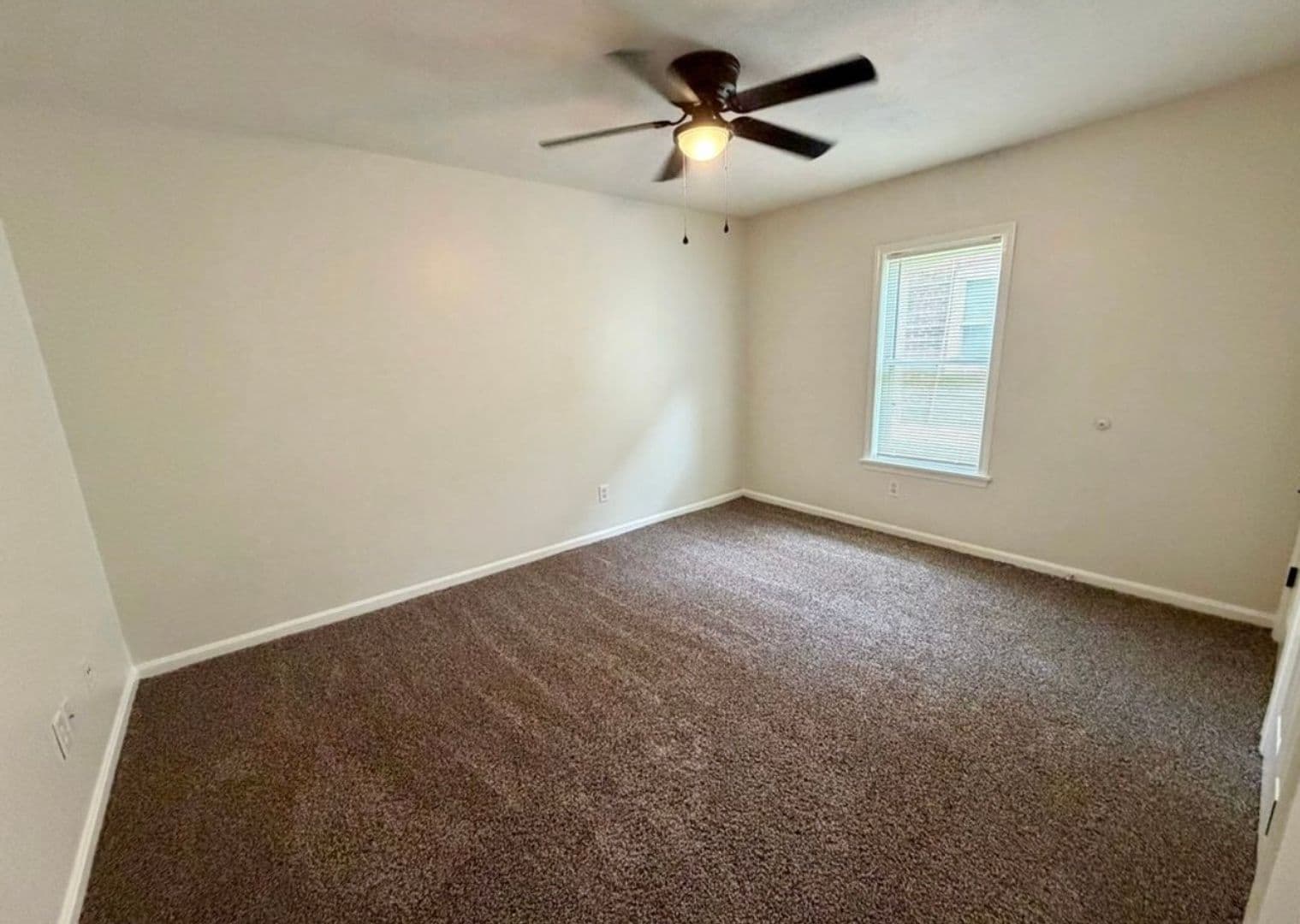 Louisville Apartment: 215 E Ormsby Ave