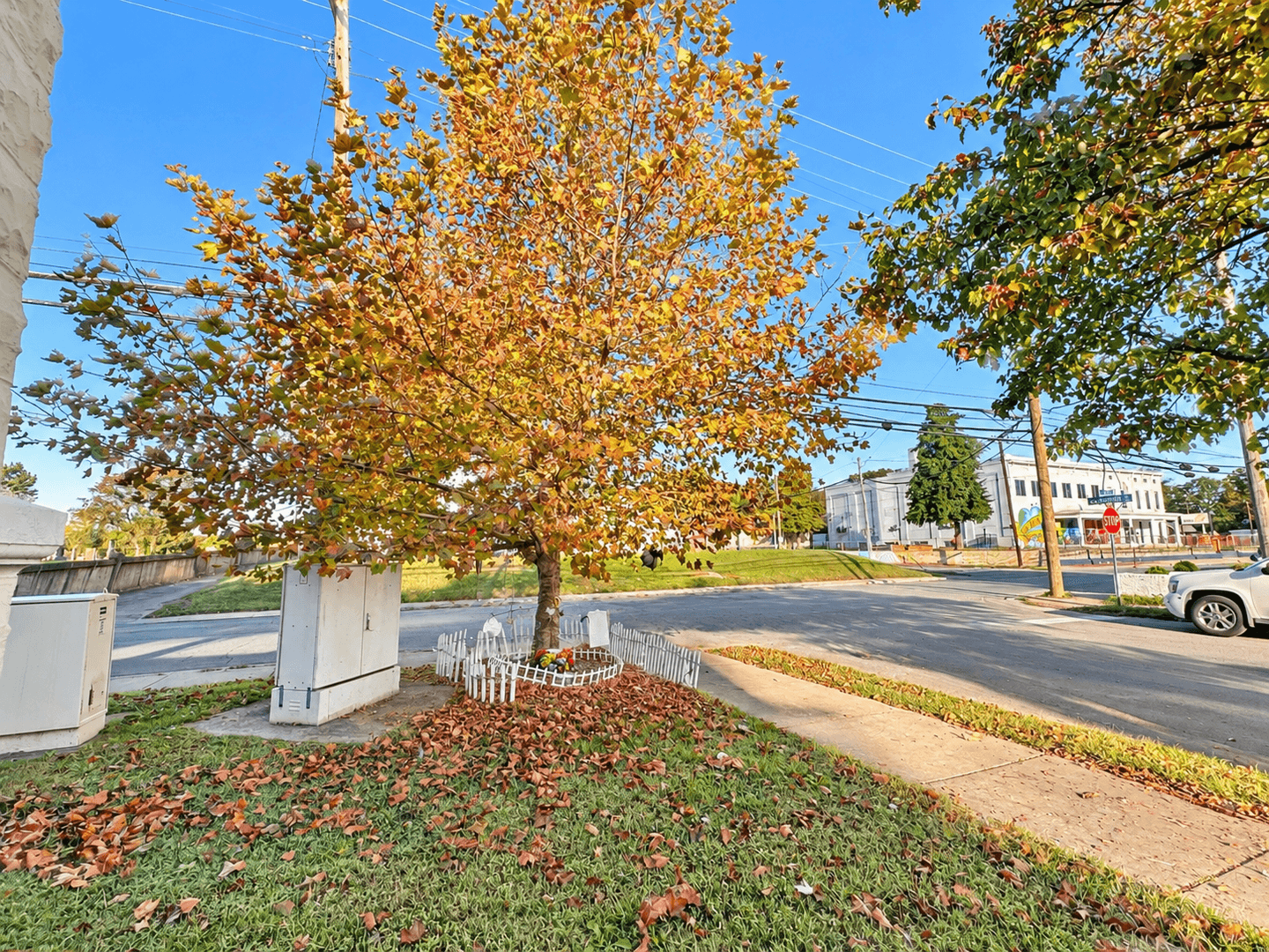 Louisville House: 2550 Saint Cecilia St