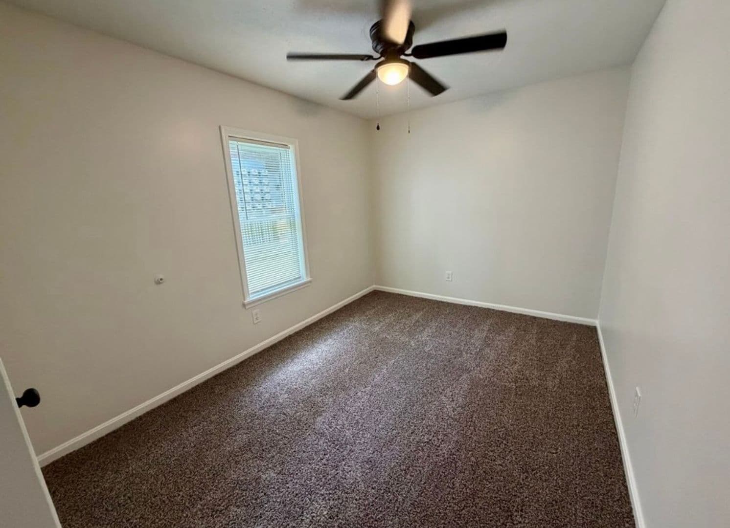 Louisville Apartment: 215 E Ormsby Ave