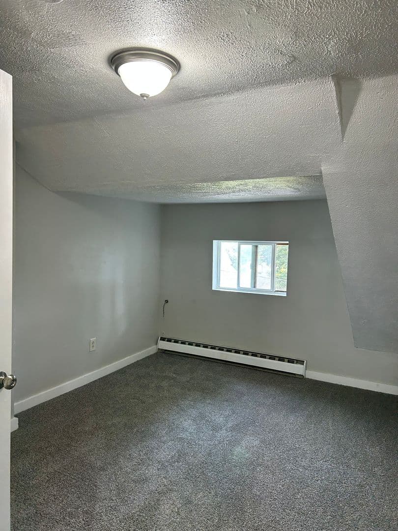 Fulton Apartment: 314 W 5th St S