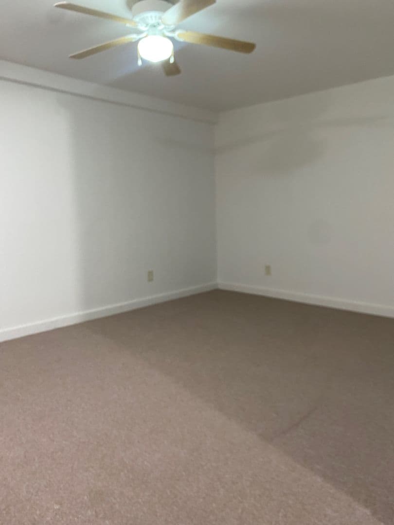 Knoxville Apartment: 313 Galesburg Road