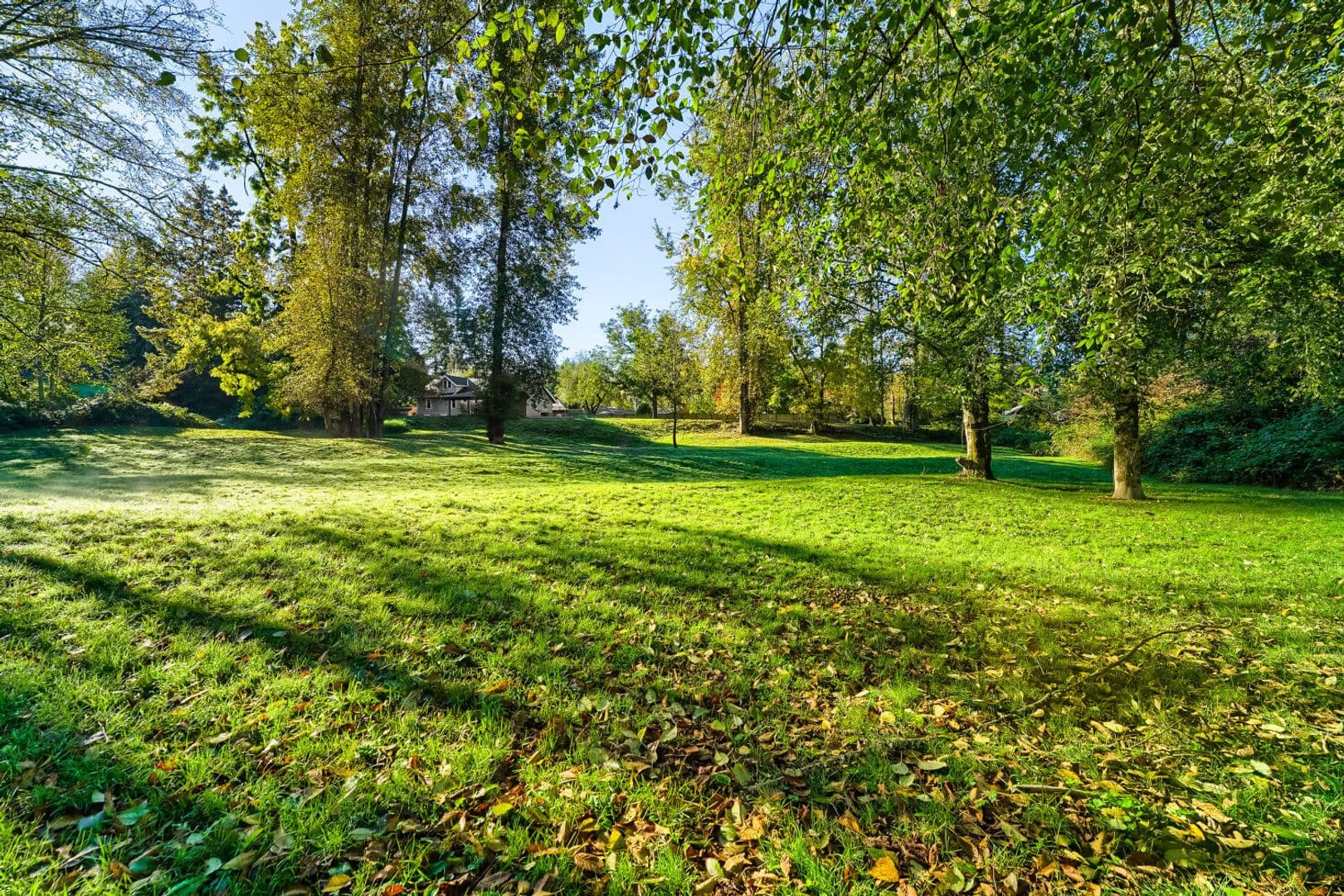 Snoqualmie House: 8217 Mountain Ave SE