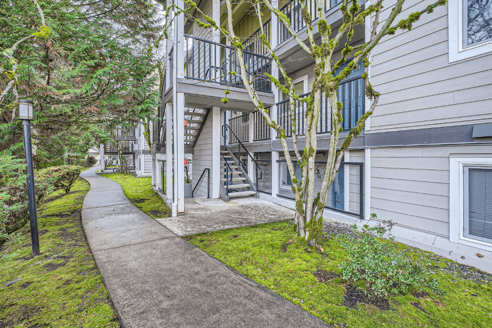 Bellevue Apartment: 13842 NE 8th St