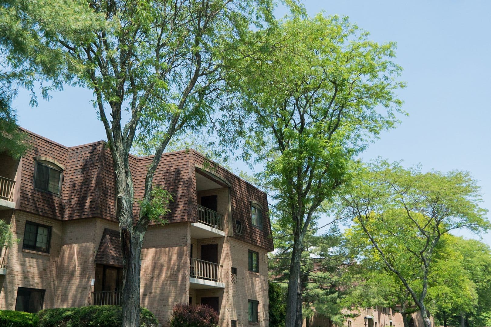 Wayne Apartment: 219 Sugartown Rd