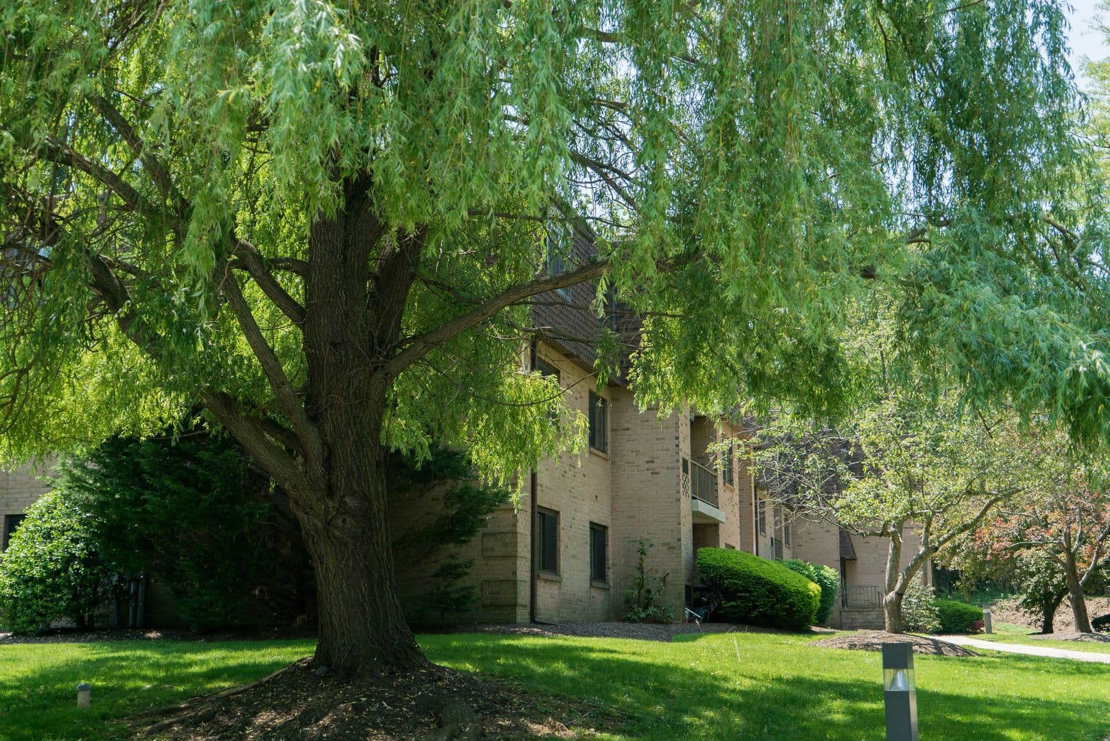 Wayne Apartment: 219 Sugartown Rd