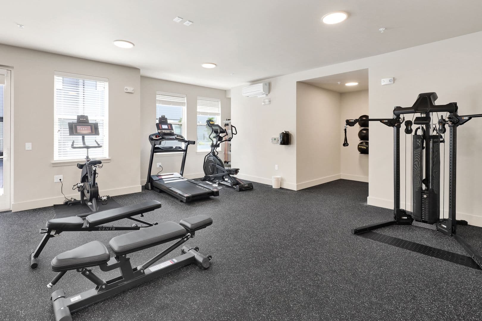 Bellingham Apartment: 1818 D Street