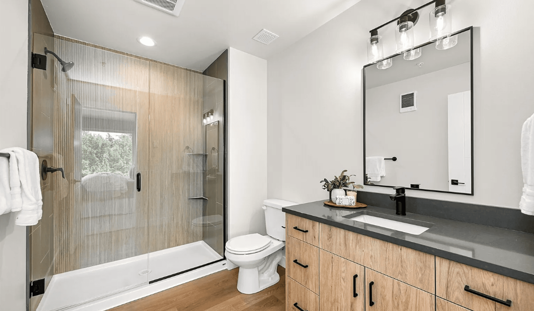 Bellingham Apartment: 217-219 Prince Ave