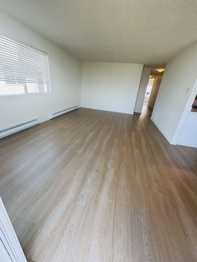 Bellingham Apartment: 490 S. State St