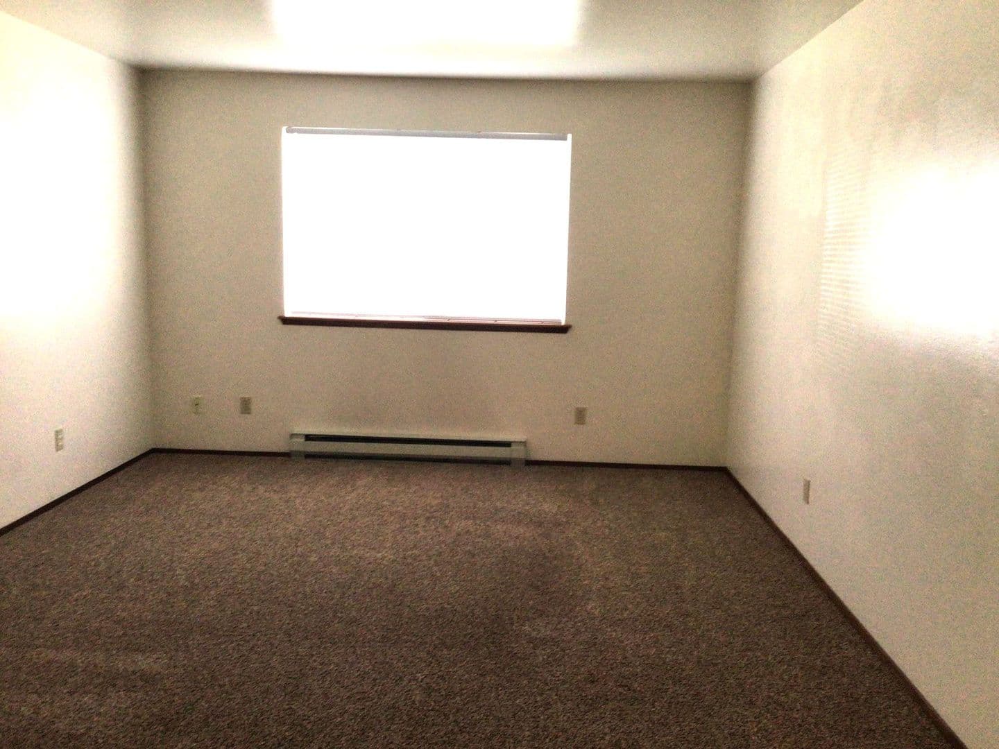 Bellingham Apartment: 907 21st St