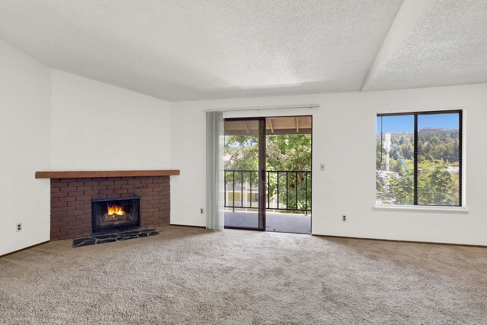 Bellingham Apartment: 316 and 320 Elwood Court