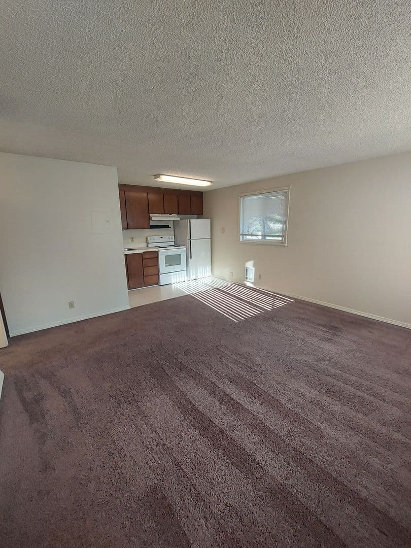 Bellingham Apartment: 924 21st Street