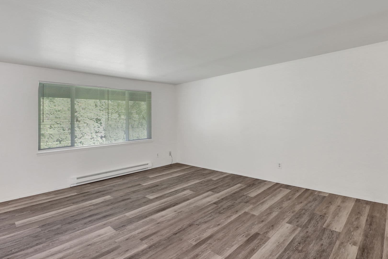 Bellingham Apartment: 1060 York Street