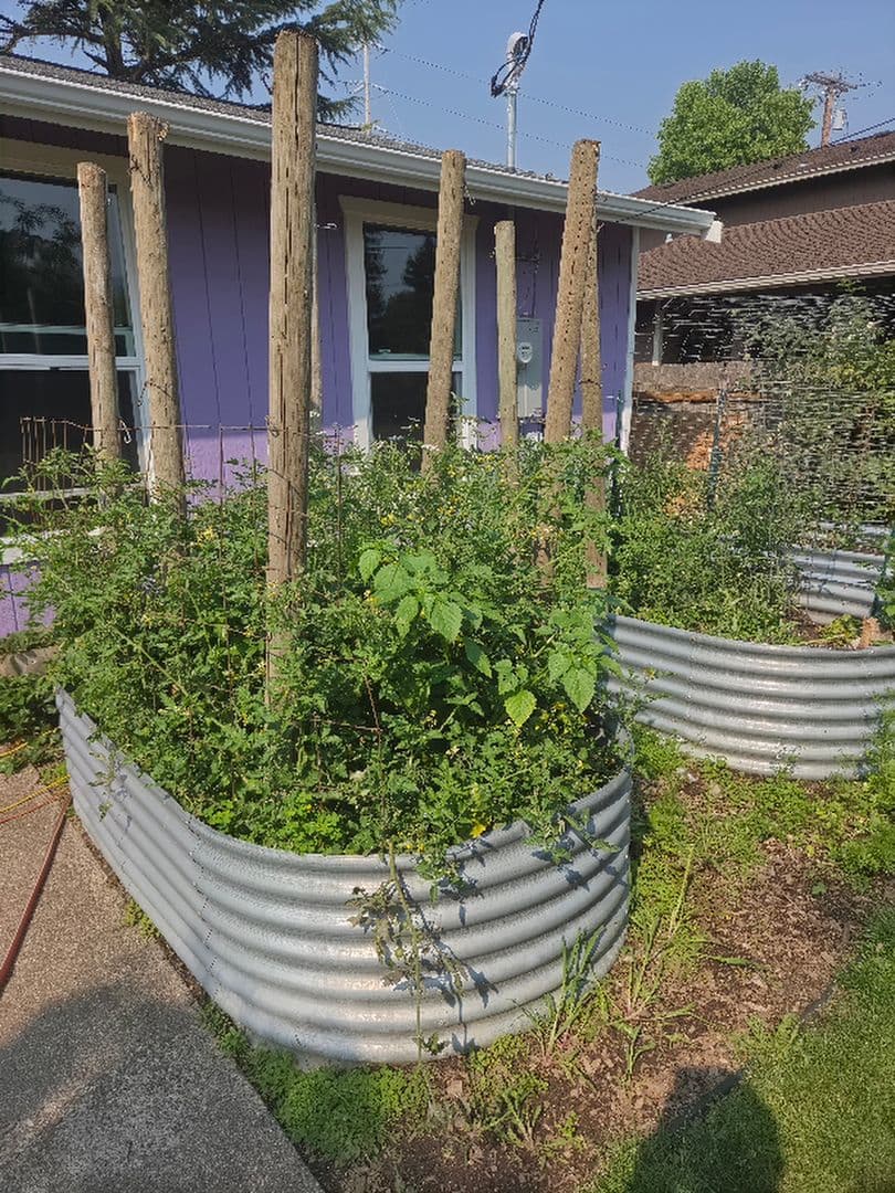 Bellingham House: 2315 Wilson Ave