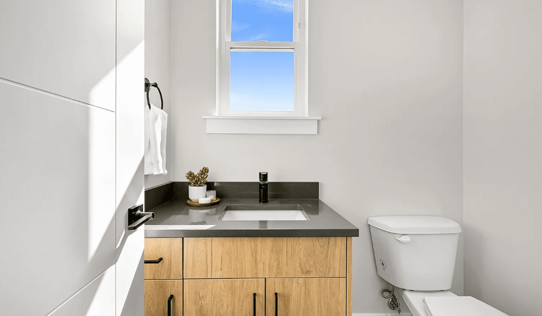 Bellingham Apartment: 217-219 Prince Ave