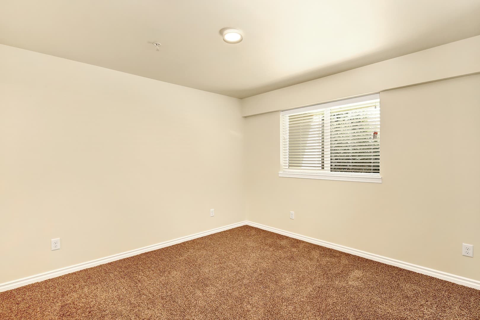 Lynden Apartment: 8881-8885 Depot Rd